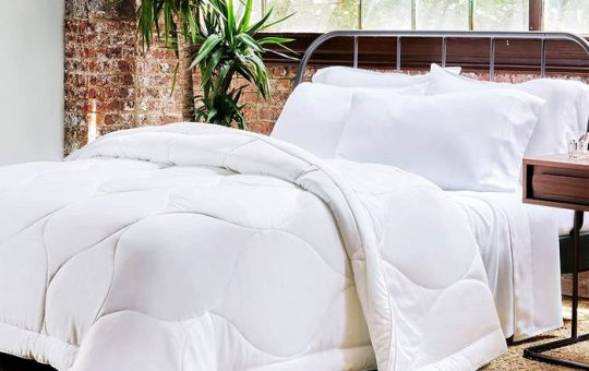 The 9 Very Best Comforters - New York Magazine 