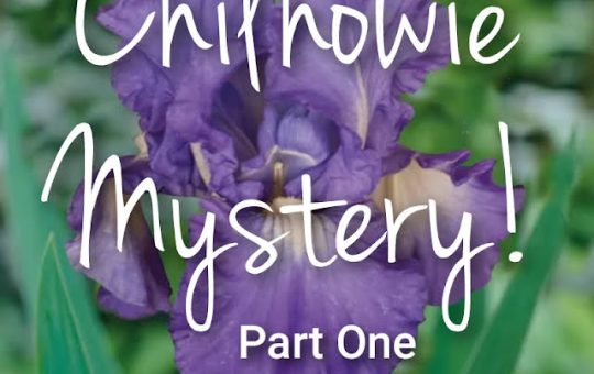Chilhowie Mystery Part One!  