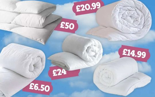 Five cheapest duvets with the highest tog rating to avoid putting the heating on including Amazon and Asda... - The Sun  