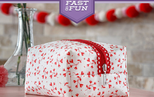 Sew Fast & Fun: Red Heart Fancy Zipper Bag  