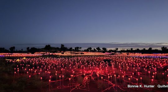 Field of Lights!  