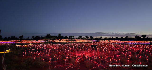 Field of Lights!  