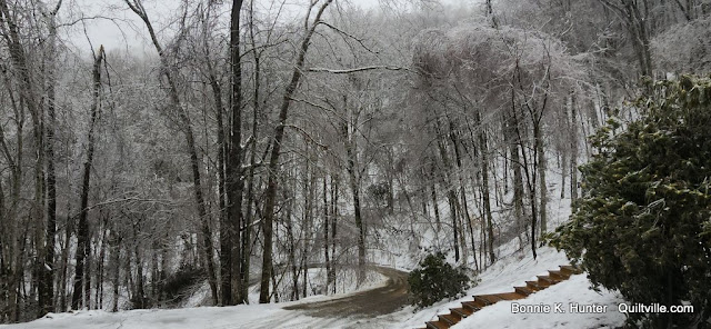 Ice Storm Aftermath -  