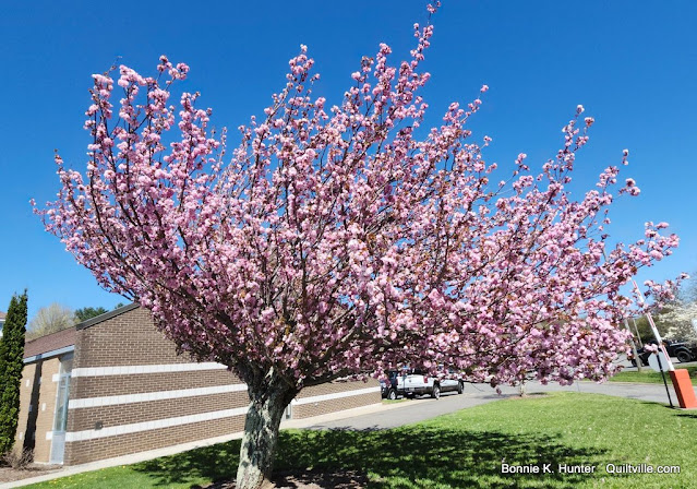Pink Trees & Hexie Blossoms!  