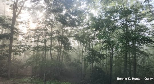 Sunshine Through Fog -  