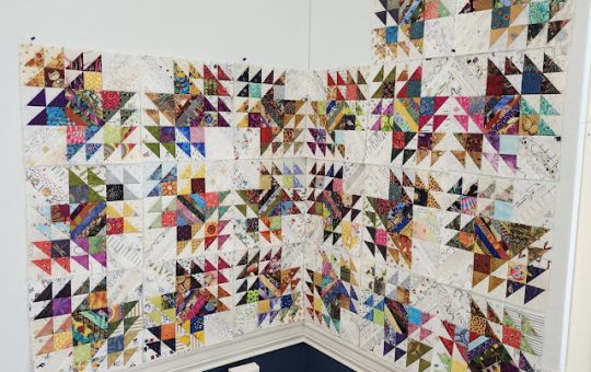 While The Quilters Went Shop Hopping!  