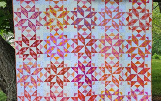 While The Quilters Are Away -  
