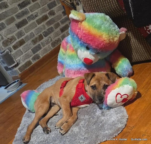 Christmas Miracles -  