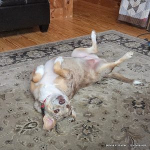 It's That Time Of Year -  