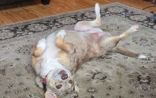 It's That Time Of Year -  