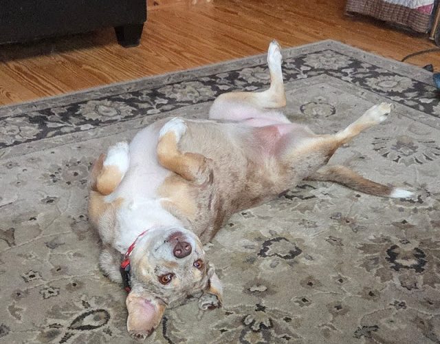 It's That Time Of Year -  