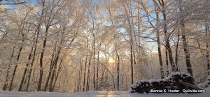 Snow, Glorious Snow!  