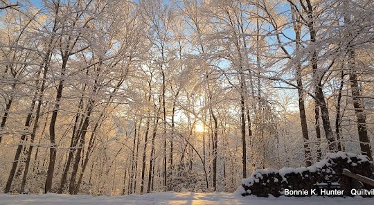 Snow, Glorious Snow!  