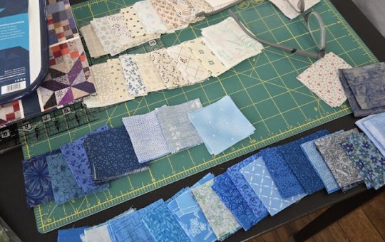 B.A.D.Bee In The House!  