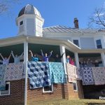 B.A.D. Bee Over The Rail!