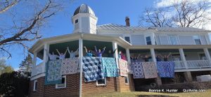 B.A.D. Bee Over The Rail!  