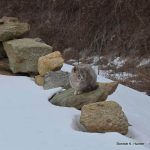 More To The Story –