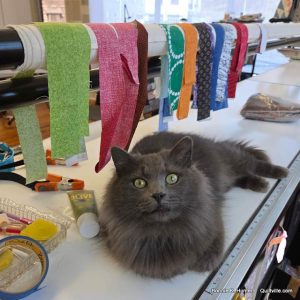 From Wednesday To Now!  