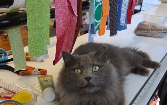 From Wednesday To Now!  