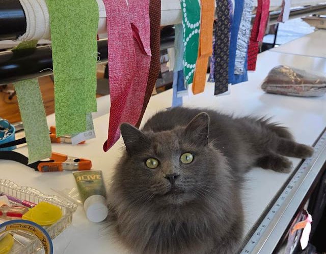 From Wednesday To Now!  