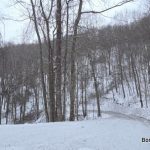 St. Patrick’s Day in the Snow?