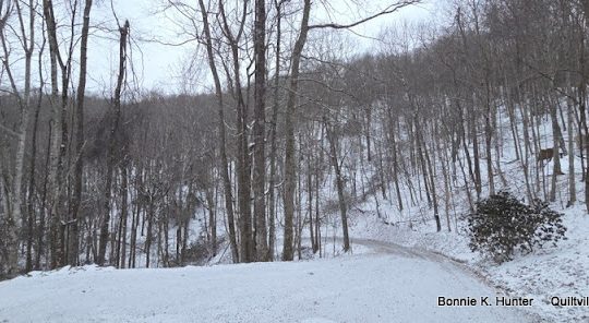 St. Patrick's Day in the Snow?  