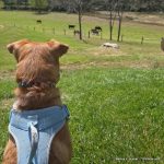 Last Year’s Workshop Finishes!