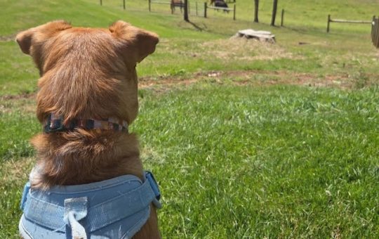 Last Year's Workshop Finishes!  