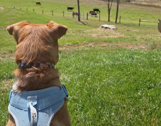 Last Year's Workshop Finishes!  