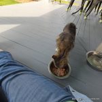 Little By Little –
